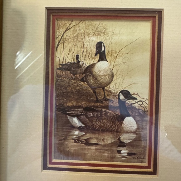 R.J. McDonald Gabby's Farm Canadian Honker Art Print 9 X 7.5 In. Double Matted - Picture 1 of 8